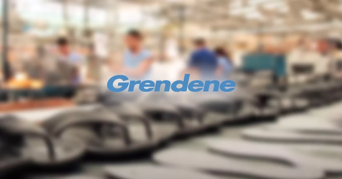 Grendene (GRND3) tem queda de 16,3% no lucro do 3T2022