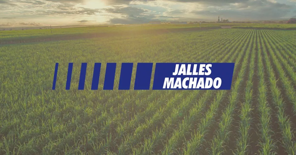 Jalles Machado (JALL3) reporta lucro de R$ 75,8 milhões no 3T da Safra 2023/24, com queda de 83,2%