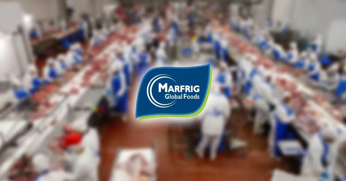 Marfrig (MRFG3) anuncia pagamento de dividendos no valor de R$ 500 milhões
